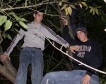 Bryan and Neil in a tree.
