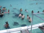 Here we are getting into the water to hand feed the Manta Rays.  It was pretty fun.  The water was about waist deep.