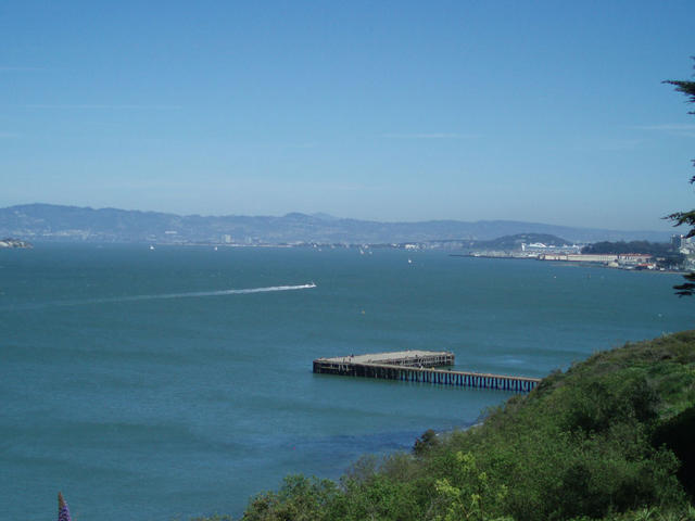 The bay.