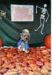 Teddie is a football player at day care!  - Halloween 2007