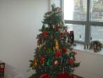 Here is the Christmas Tree Helen and I put up in her place in Chicago.  Her first time ever!