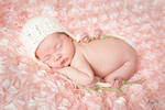 Newborn Photos - Professional